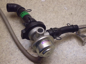 G~l[^[125/ ELIMINATOR125 u[oCou BN125A