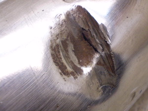 ZZR250/ ZZ-R250  ЊO}t[TCT[ EX250H-0097