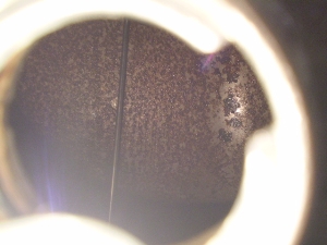 OhANVX100/ GRAND AXIS  K\^N SB01J-1373
