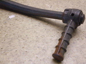 `Cm/ choinori  LbNy_ CZ41A-1689