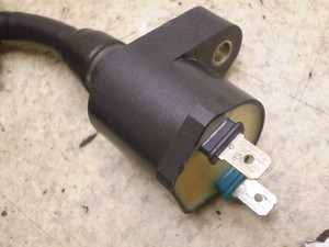 S50(12V)/ GORILLA    COjbVvOR[h ЊOi Z50J-1804