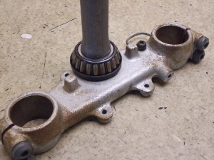 Z[225/ SEROW225 Xe 1KH-0160