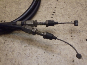 Z[225/ SEROW225 ANZC[ 1KH-0160