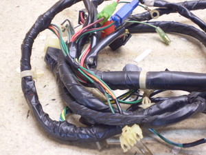 CufBI/ Live Dio50 Cn[lX AF34-3507