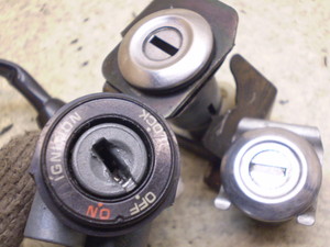 CufBI/ Live Dio50(12V) L[Zbg AF34-1311