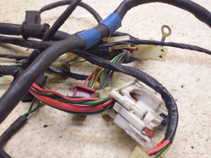 CufBI/ Live Dio50(12V) Cn[lX AF34-1311