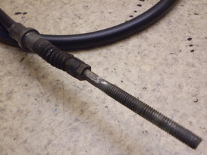 CufBI/ Live Dio50(12V) tgu[LC[ AF34-1311