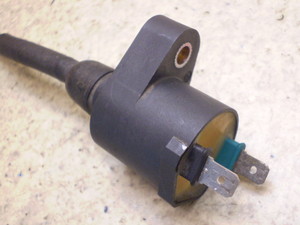 CufBI/ Live Dio50(12V) COjbVvOR[h AF34-1311