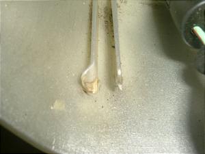 WmNA/ Giorno Crea   nhJo[ AF54-1015