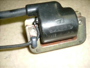S/ GORILLA  COjbVvOR[h Z50J-1018
