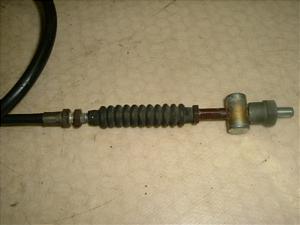 S/ GORILLA  tgu[LC[ Z50J-1018