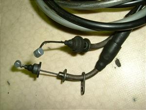 r[m50/ Vino  ANZC[ 5AU-0747