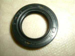 T-REX125/ PGO  ICV[ 0617