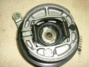 `Cm/ choinori  tgu[Lh CZ41A-1155