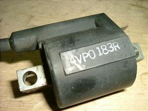BWS100/ r[EBY/ r[EBY100/ BWS/ BWfS 100  COjbVvOR[h FT1E52M