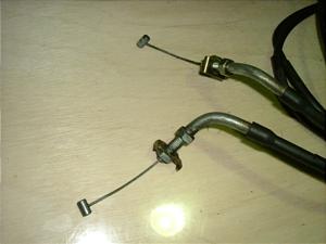 t[W 250/ FUSION  ANZC[ MF02-1400