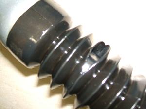OhfBN125/ G-DINK/ LR/ KYMCO    tgtH[NE BSH25DC