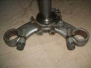 gC50(6V)/ TRAIL/ TY50 Xe 354-5021