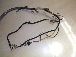 gC50(6V)/ TRAIL/ TY50 Cn[lX 354-5021