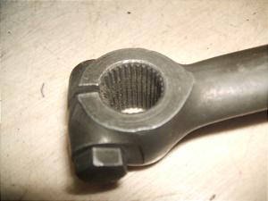 XJbV50/ SQUASH  LbNy_ AB11-1036