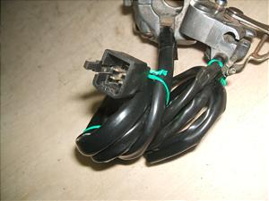 XJbV50/ SQUASH  nhXCb` AB11-1036