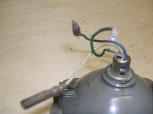 XJbV50/ SQUASH  wbhCg AB11-1036