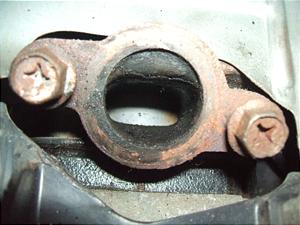 ANeBu50/ACTIVE  GW  35R-0154