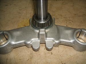 AvARS50/ Aprilia/ RS50   Xe WS001364