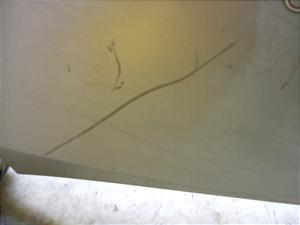 NAXN[s[/ CreaSCOOPY   V[gTChJo[ AF55-1003