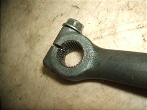 XJbV50/ SQUASH  LbNy_ AB11-1066