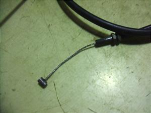 Z[225/ SEROW225 ANZC[ 1KH-0837