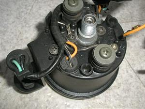 `Cm/ choinori  [^[ CZ41A-1501