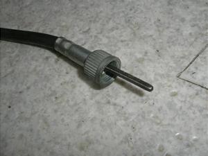 `Cm/ choinori  [^[C[ CZ41A-1501