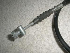 `Cm/ choinori  tgu[LC[ CZ41A-1501