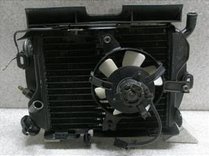 W[250/ ZEAL  WG^[ 3YX-0004
