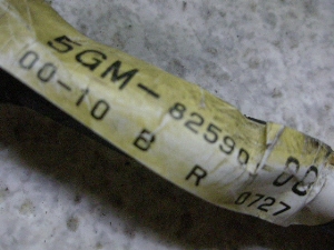 }WFXeB250/ MAJESTY Cn[lX SG03J-0124