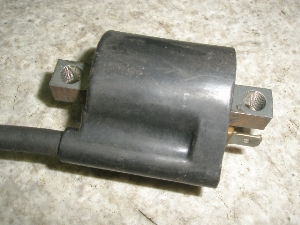Z[225/ SEROW225 COjbVvOR[hRC 4JG-1593