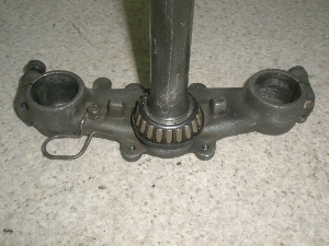 Z[225/ SEROW225 Xe 1KH-0240
