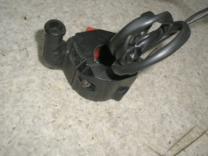 Z[225/ SEROW225 nhXCb`E 1KH-0240