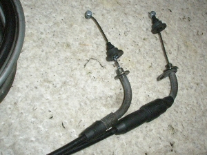 r[m50/ Vino  ANZC[ SA10J-0879