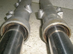 G~l[^[250/ ELIMINATOR tgtH[NE EL250A-0012