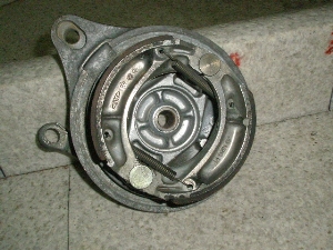 BIALS50/ TL50 oCAX Au[Lh TL50-1001