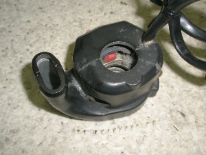 Z[225/ SEROW225 nhXCb`E 1KH-0009