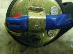 `v50/ CHAMP  ECJ[uU[ 54V-6392