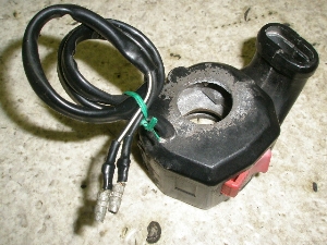 Z[225/ SEROW225 nhXCb`E 1KH-0016