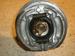 X[p[t[50(6V)/ SUPER FREE  tgu[Lh F50-3511