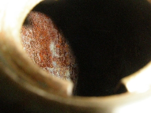 X[p[t[50(6V)/ SUPER FREE  K\^N F50-3511