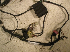 ZZR250/ ZZ-R250  Cn[lX EX250H-0131