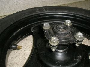 `Cm/ choinori  Az[^C CZ41A-1018