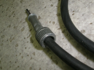 `Cm/ choinori  [^[C[ CZ41A-1018